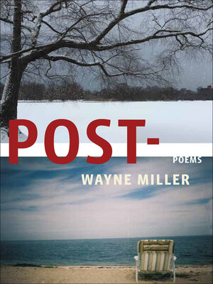 cover image of Post-